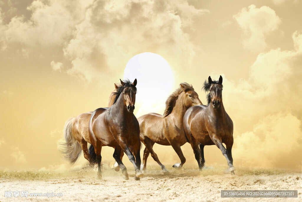 草原骏马奔腾图