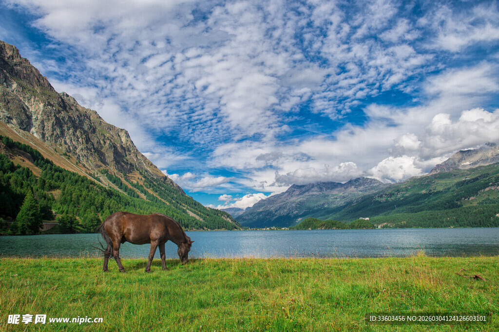草原骏马与山水美景