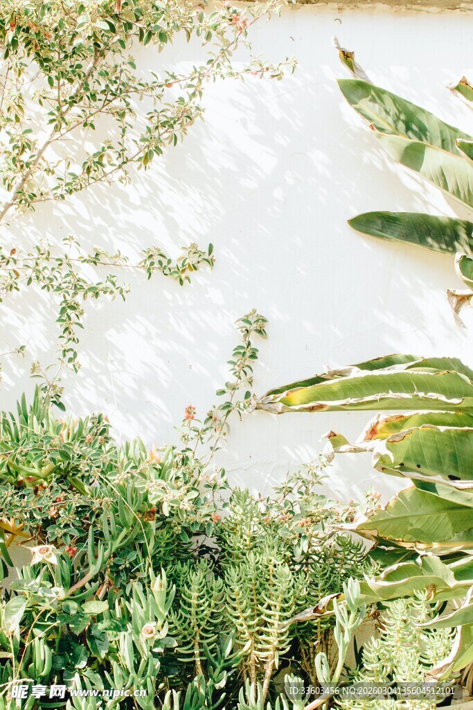 绿植环绕的清澈水面