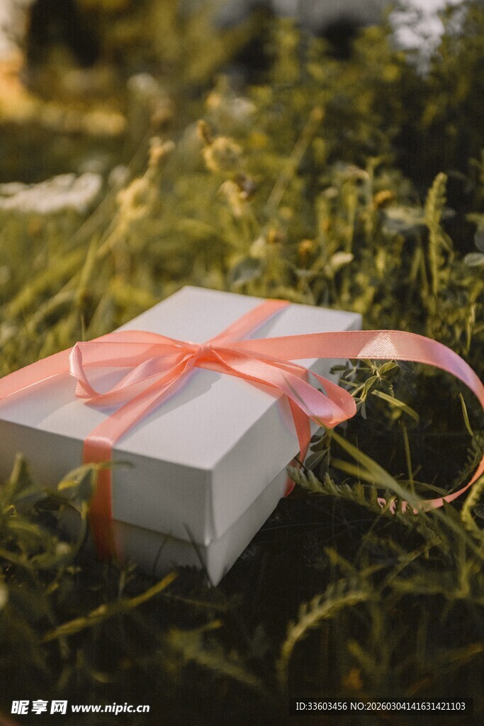 草地上的精美礼品盒
