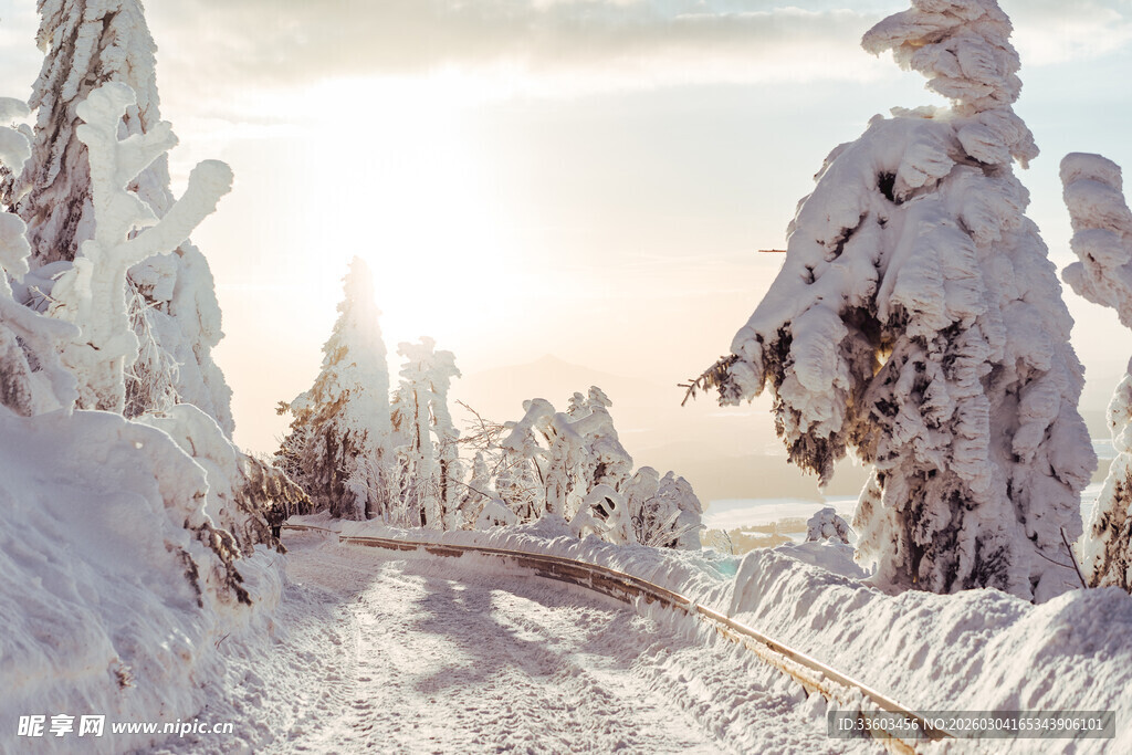 冬日雪覆铁轨的静谧美景