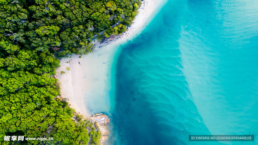 碧海白沙边的葱郁绿意