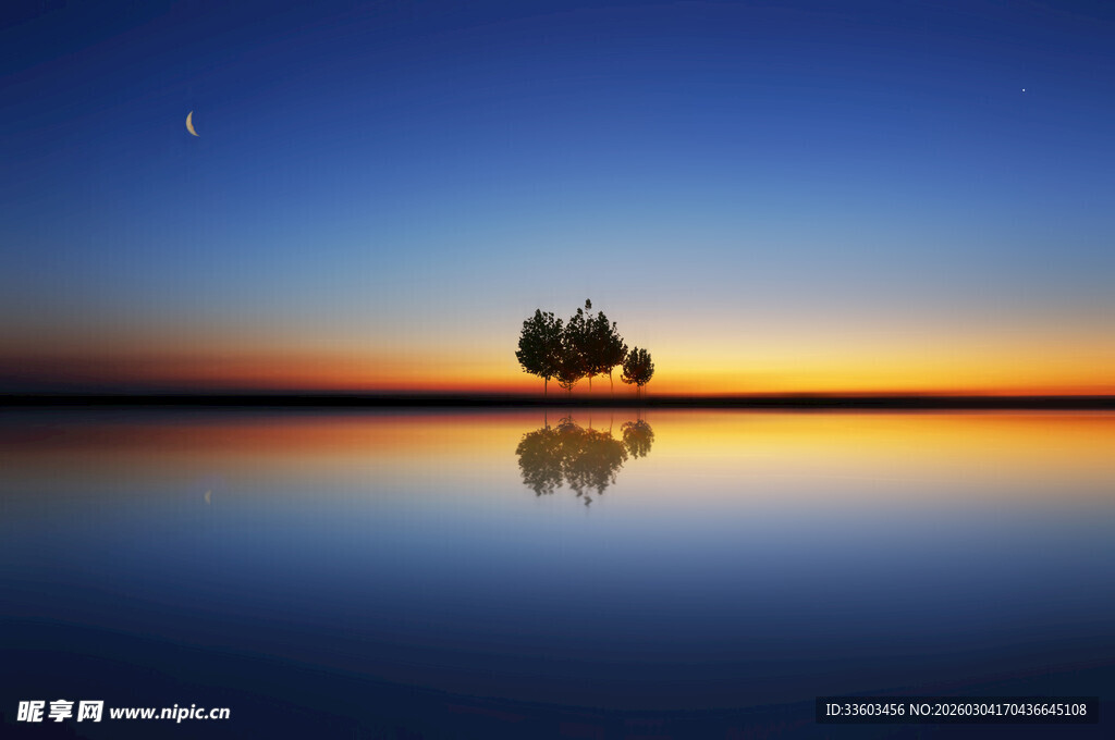 夕阳下孤树映于平静湖面