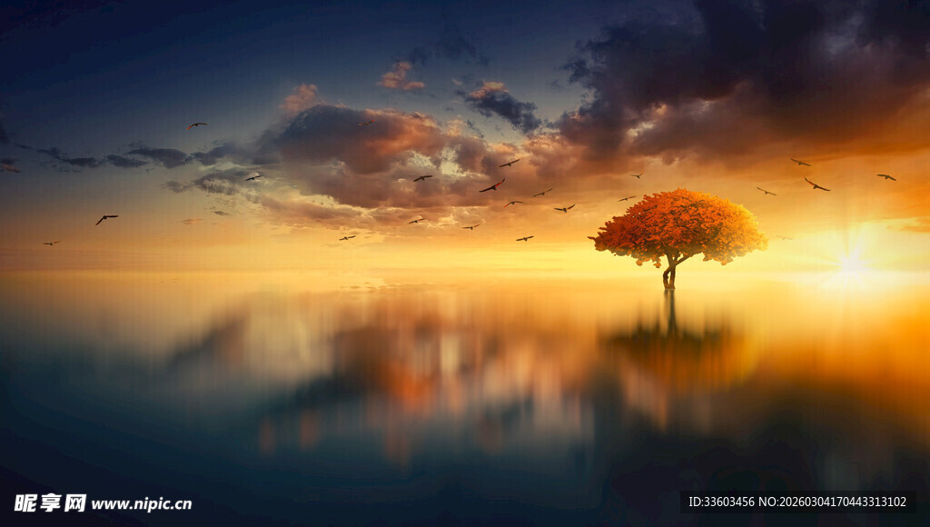 夕阳下孤树映于水面