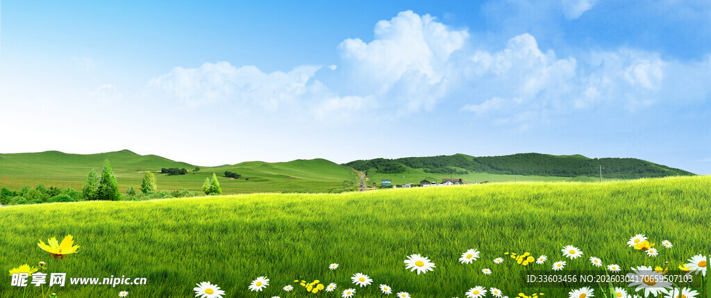 春日绿野花海美景