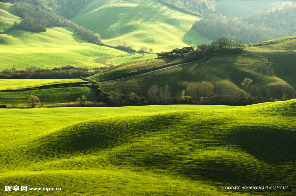 翠绿起伏的美丽田园风光