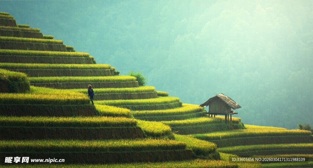 山间梯田小屋的静谧景致