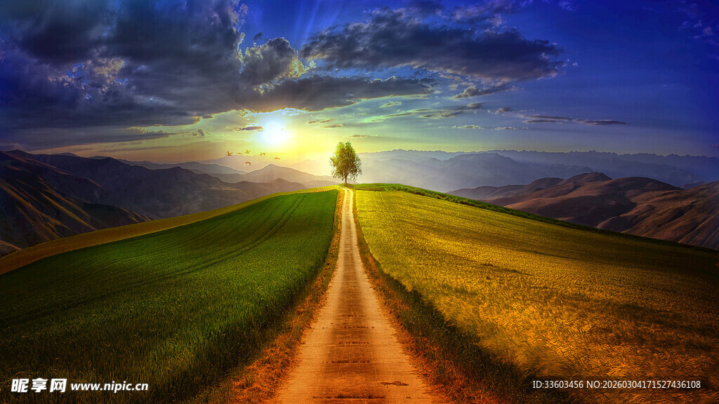 黄昏小路尽头的孤独小树