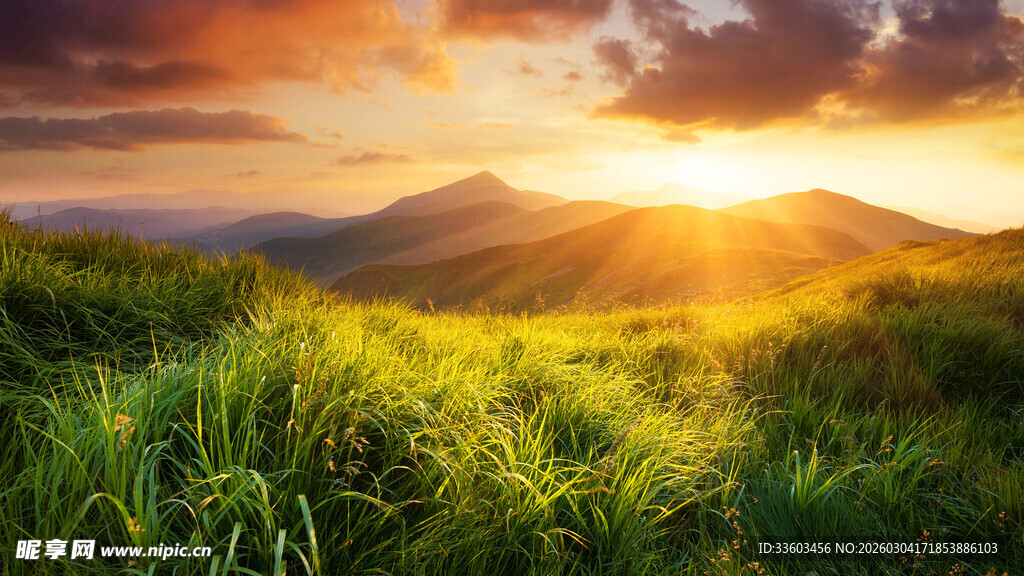 日出下的绿野山丘美景