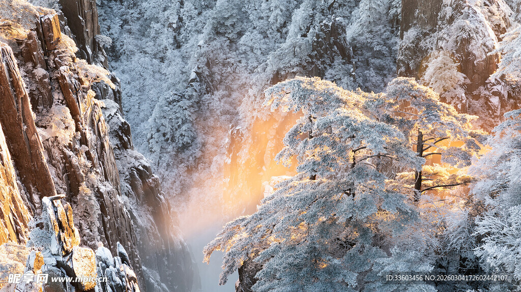 雪覆山林现金色光影