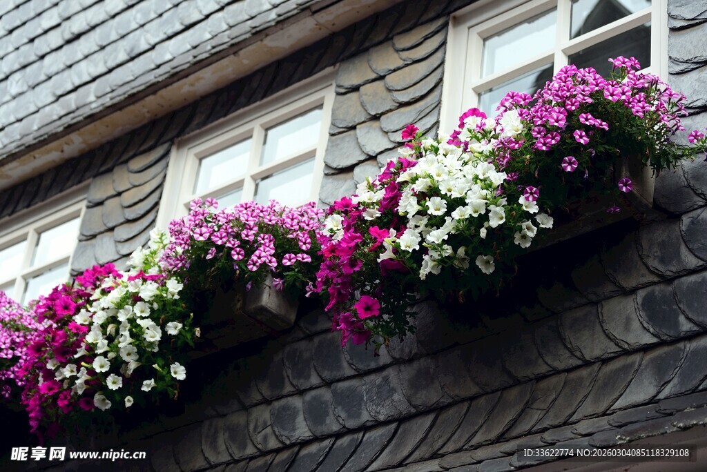窗边缤纷花卉装点墙面