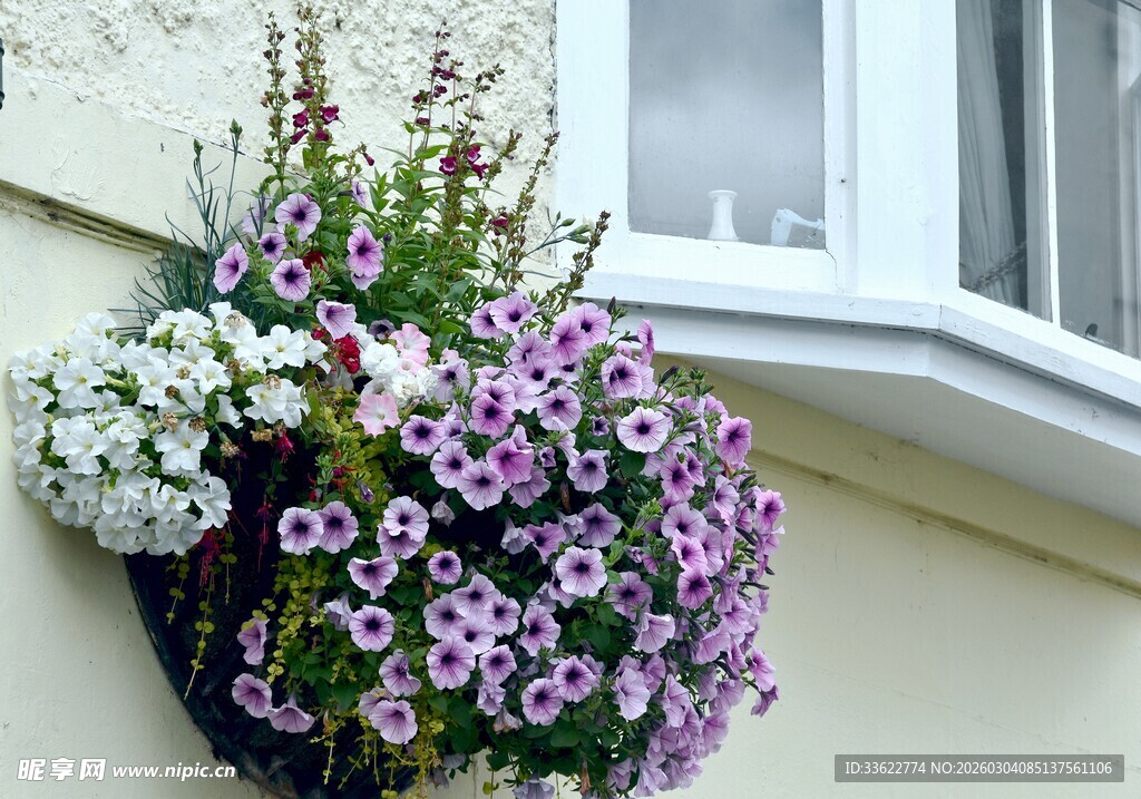 窗台上的缤纷花卉
