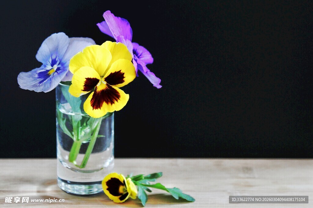 花瓶中的多彩三色堇