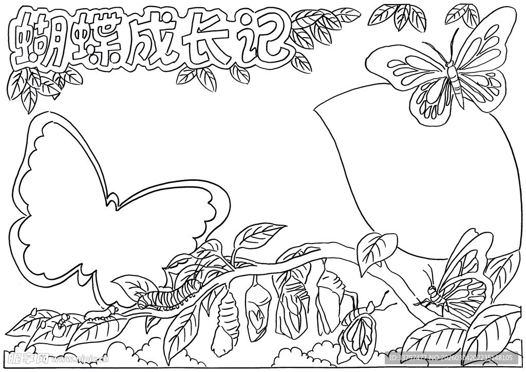 花卉蝴蝶边框装饰图案