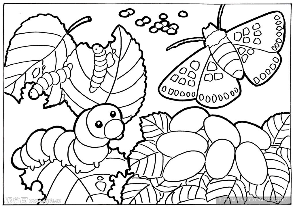 蚕与飞蛾的黑白插画世界