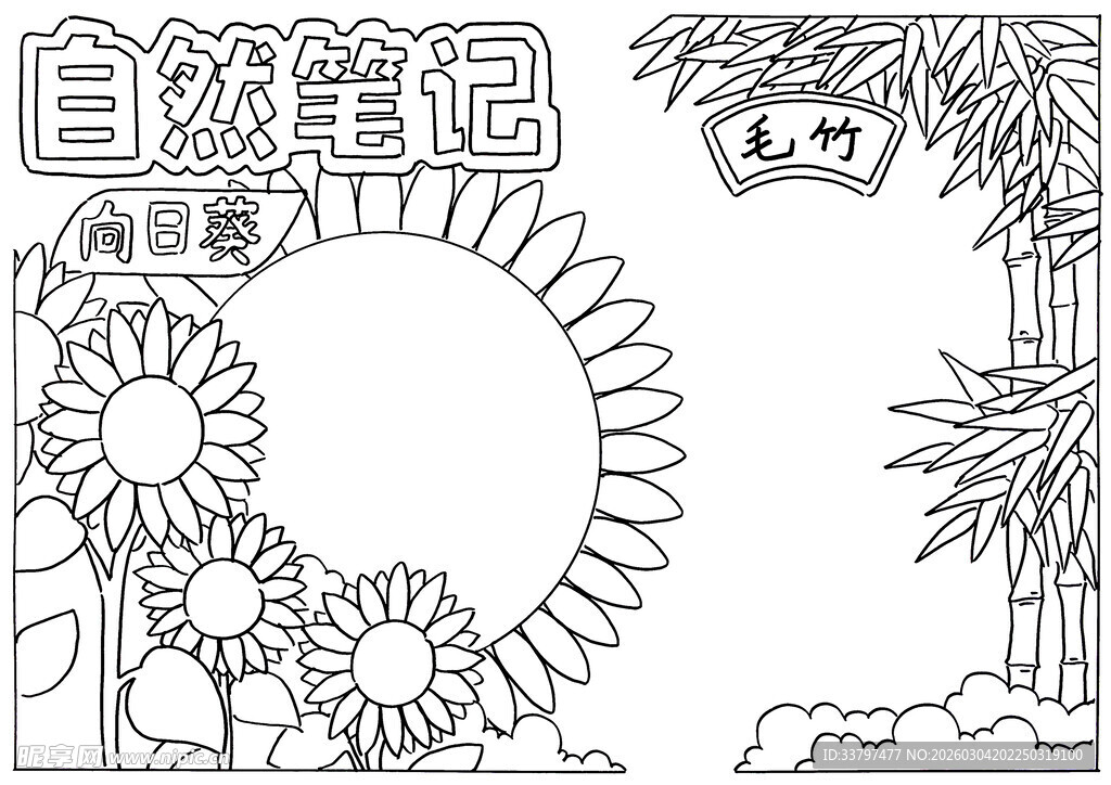 自然笔记线稿插画