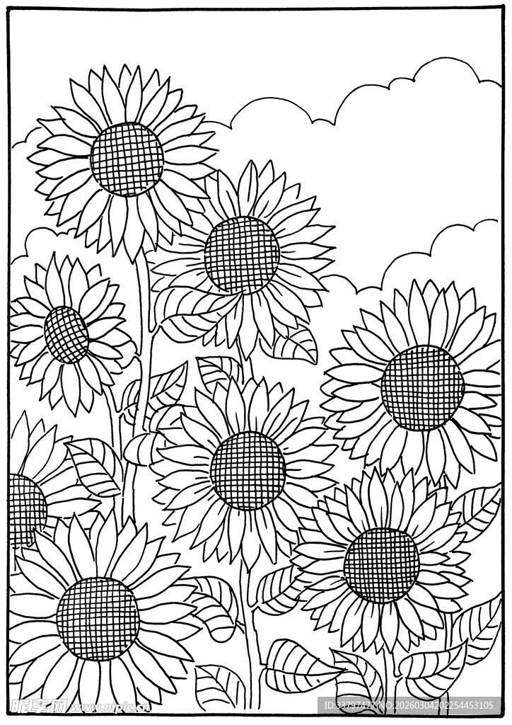 黑白向日葵花卉线稿图