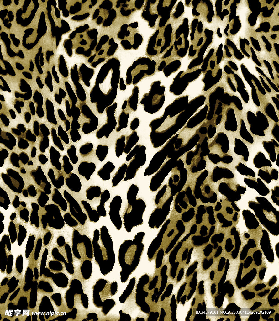 豹纹图案纹理
