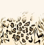 豹纹图案纹理素材