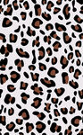 豹纹图案背景纹理