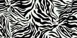 黑白斑马纹图案纹理