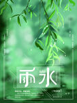 雨水时节绿意盎然的柳枝