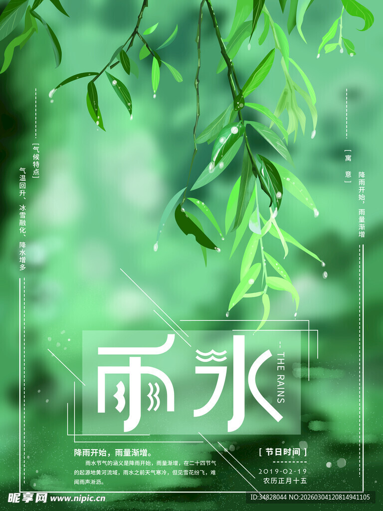 雨水时节绿意盎然的柳枝