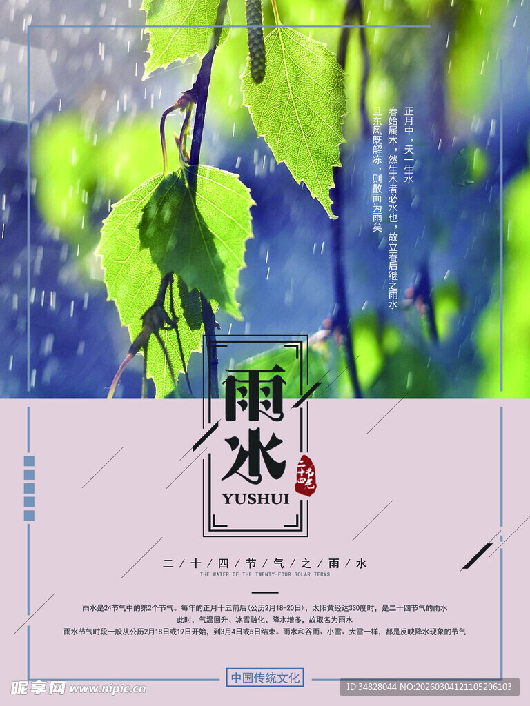 雨水时节绿叶清新画面
