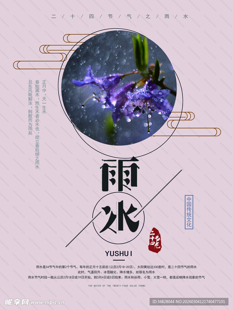 雨水时节的紫色花卉