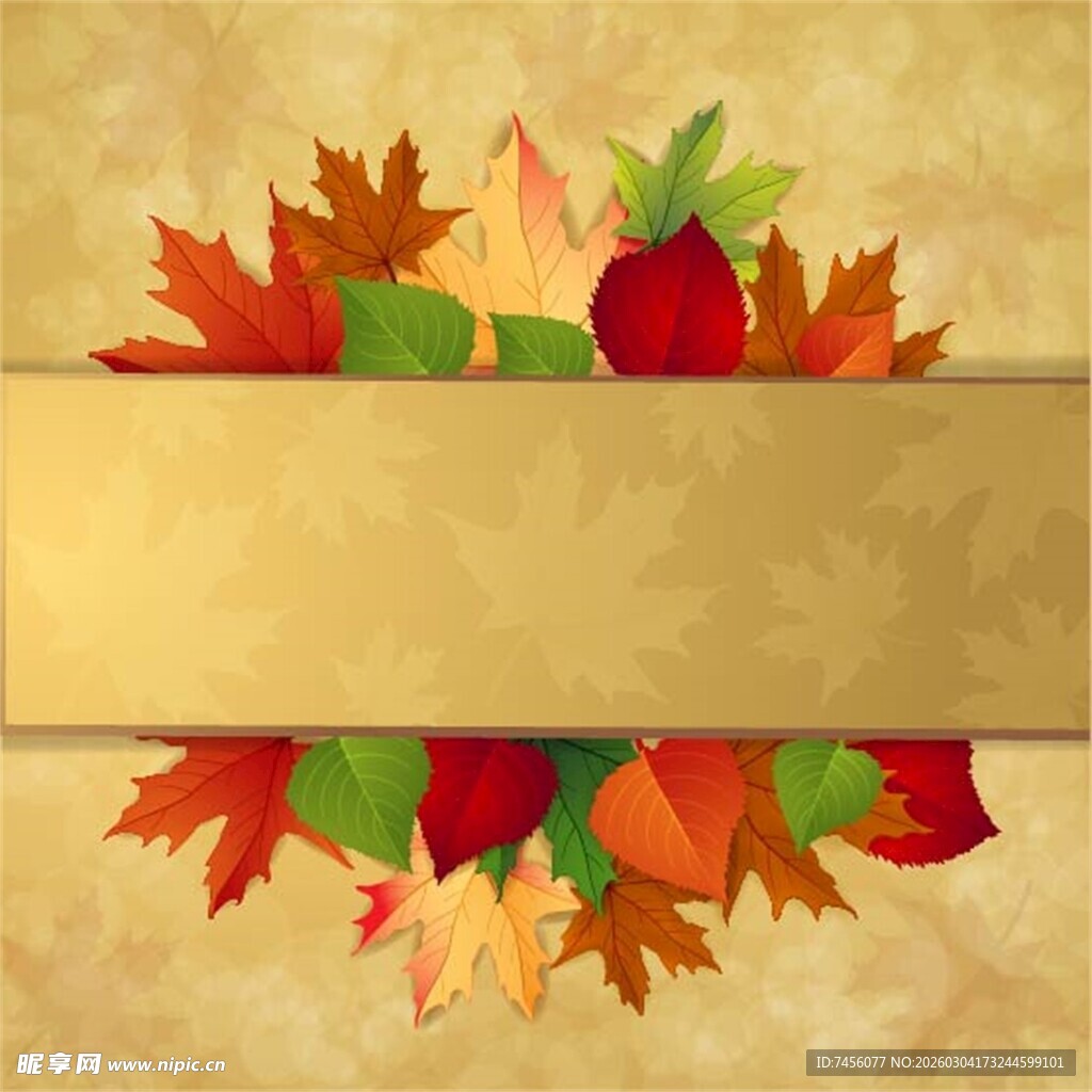 秋季枫叶装饰背景图