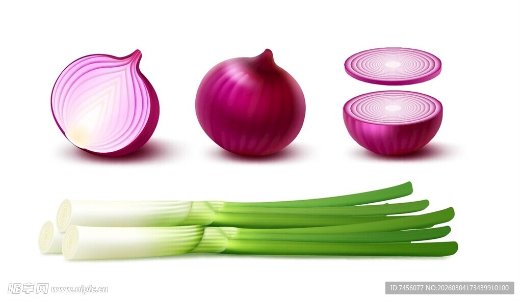 洋葱与青葱的新鲜组合