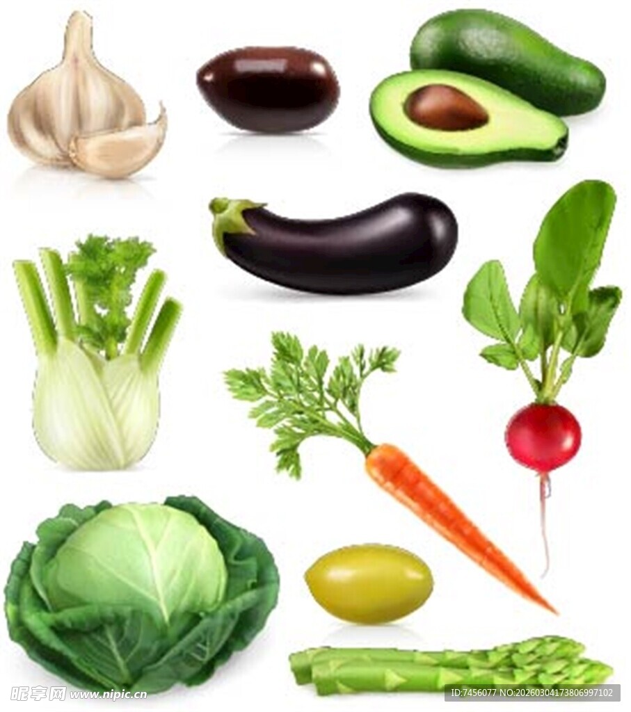 多样新鲜蔬菜展示