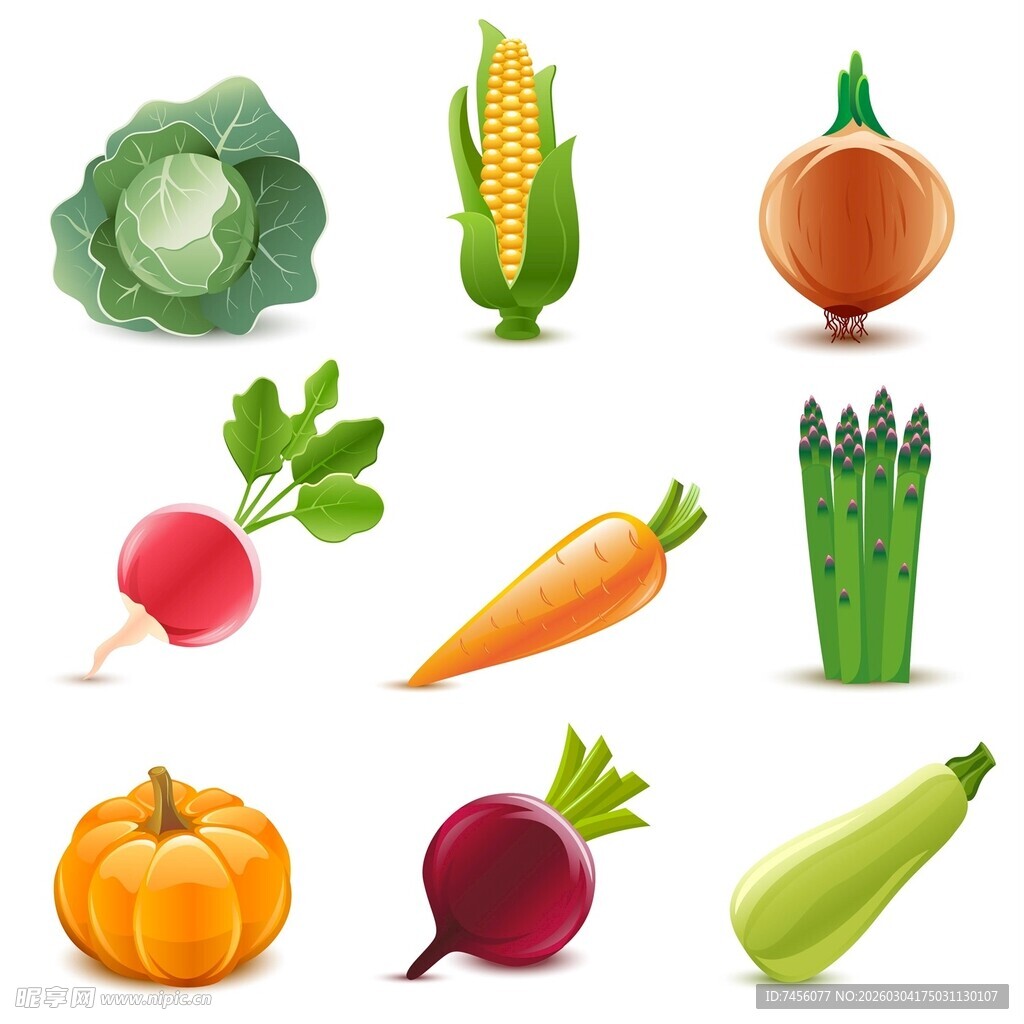 多样新鲜蔬菜集合展示