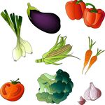 多样新鲜蔬菜集合
