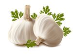 新鲜大蒜与翠绿欧芹