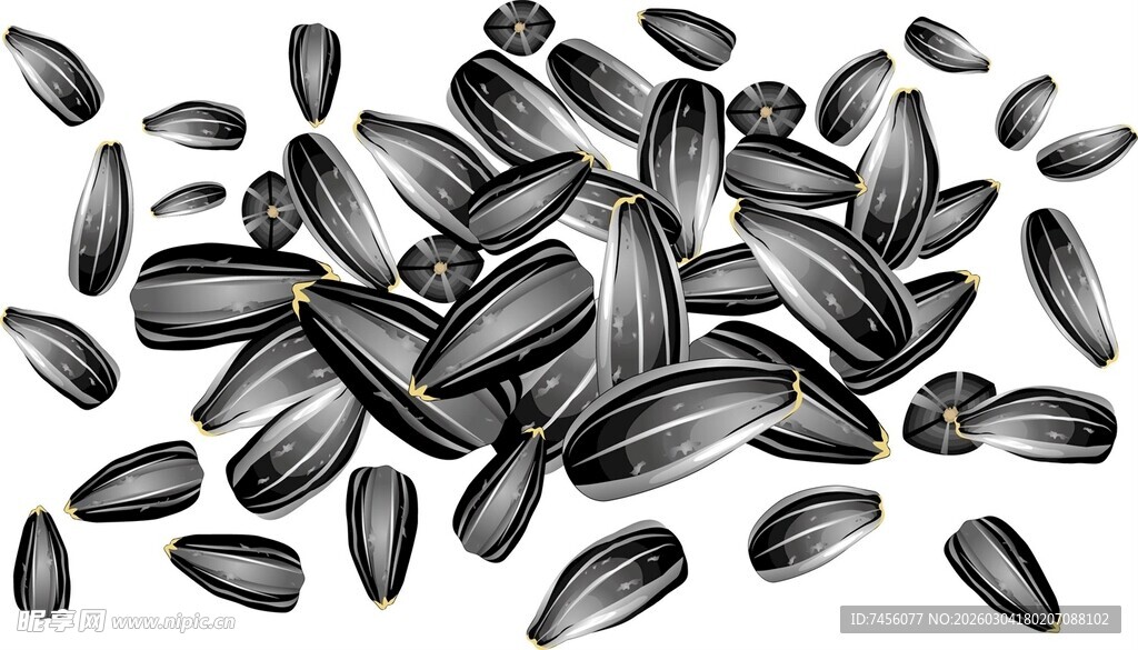 饱满黑瓜子特写