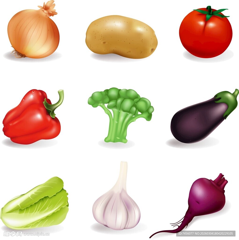 多样新鲜蔬菜集合展示