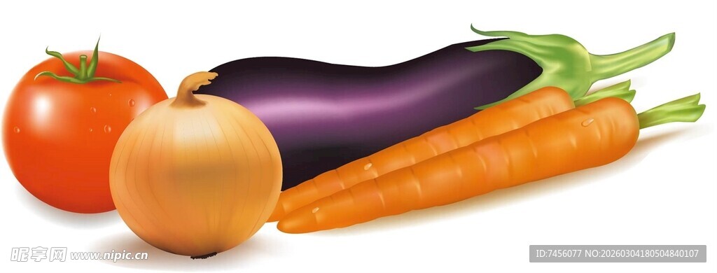 多彩新鲜蔬菜组合