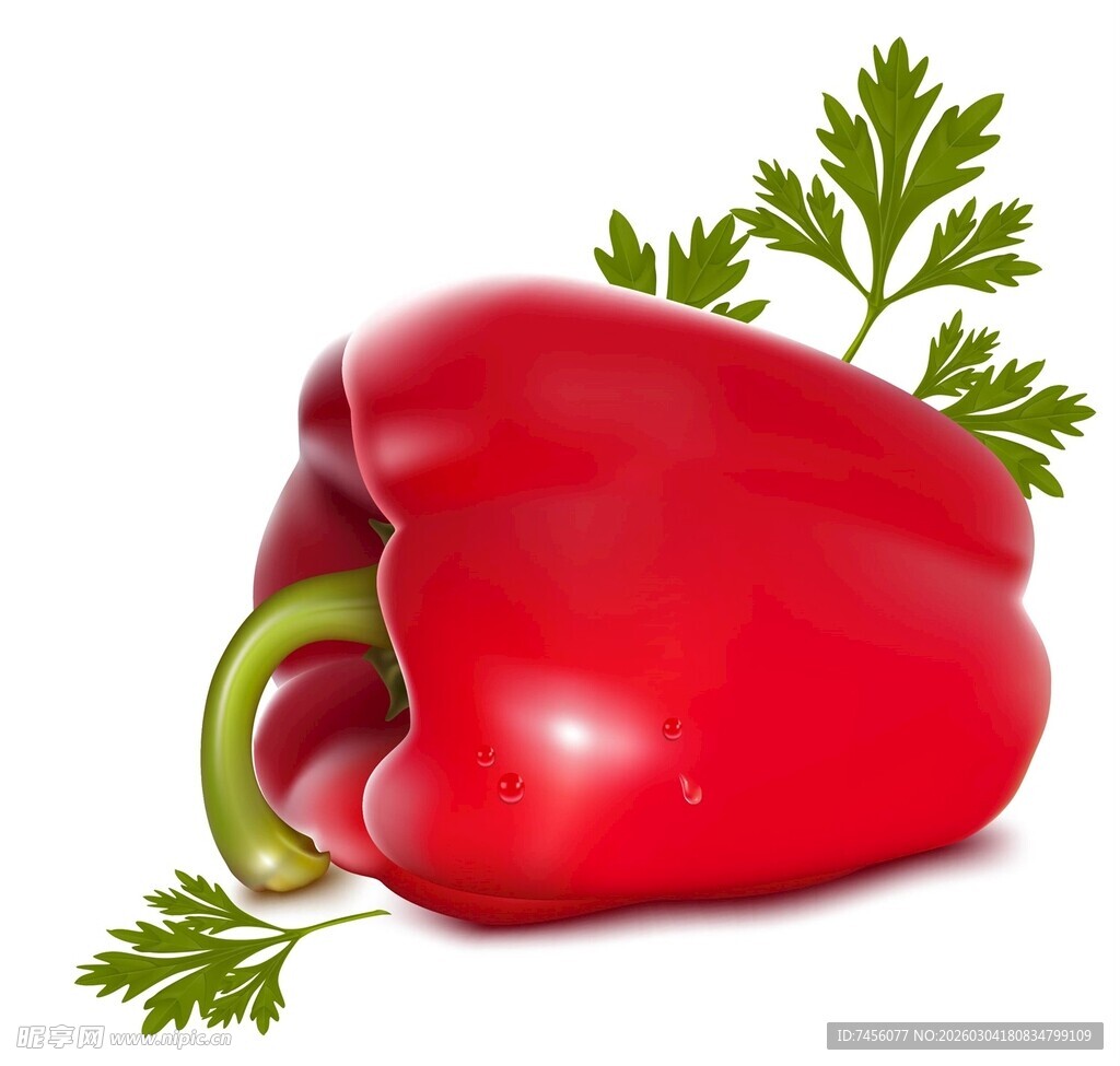 鲜红甜椒配翠绿欧芹