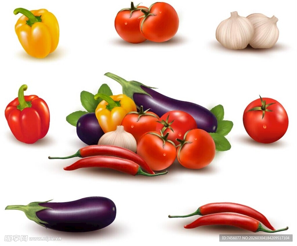 多彩新鲜蔬菜组合展示