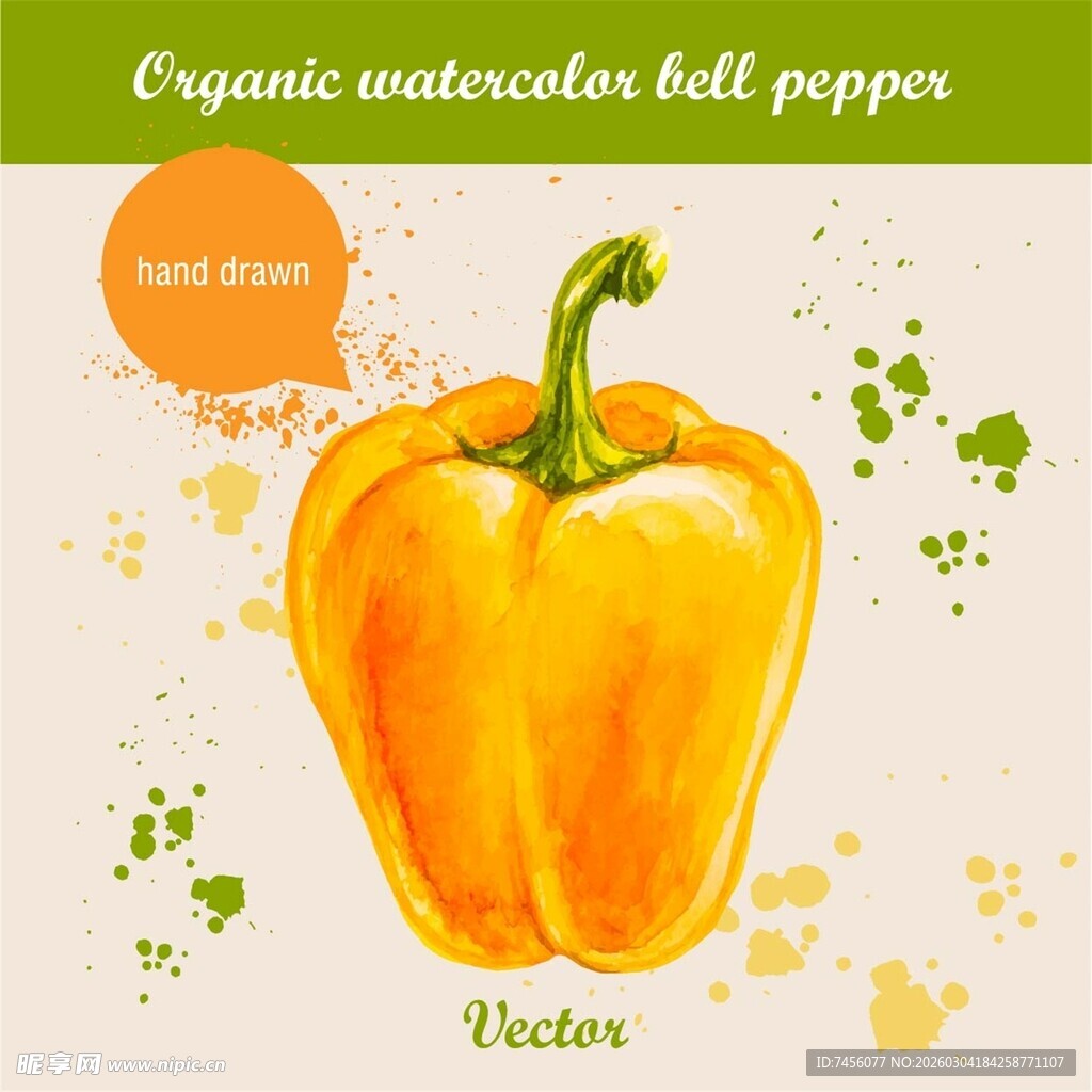 有机黄甜椒水彩插画
