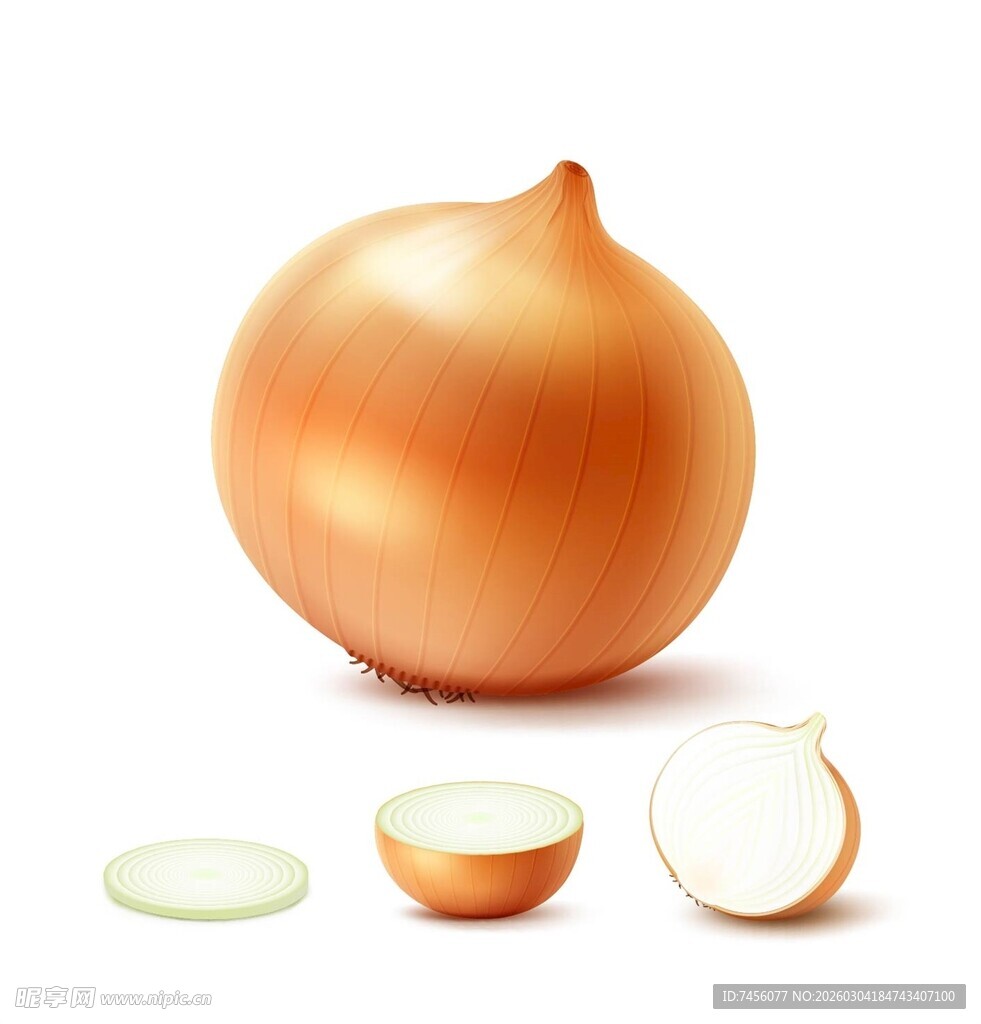 完整及切片的新鲜洋葱