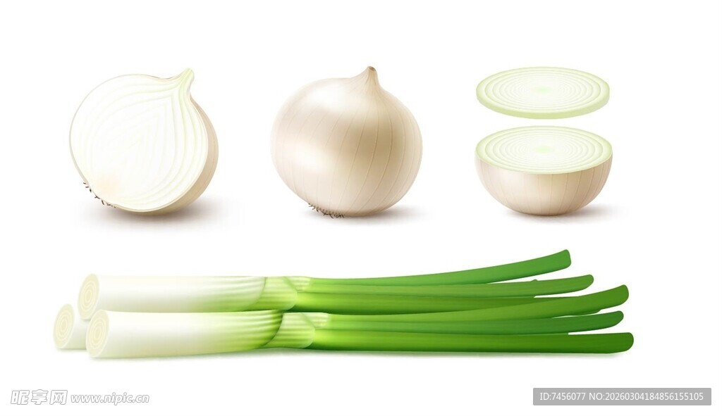 新鲜洋葱与青葱蔬菜组合