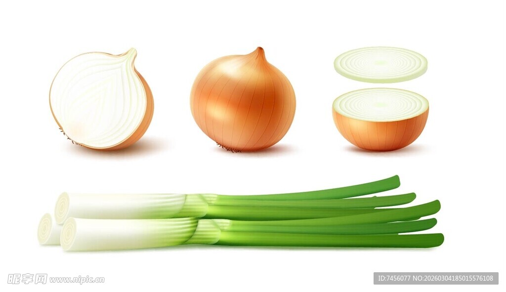 洋葱与青葱的新鲜食材