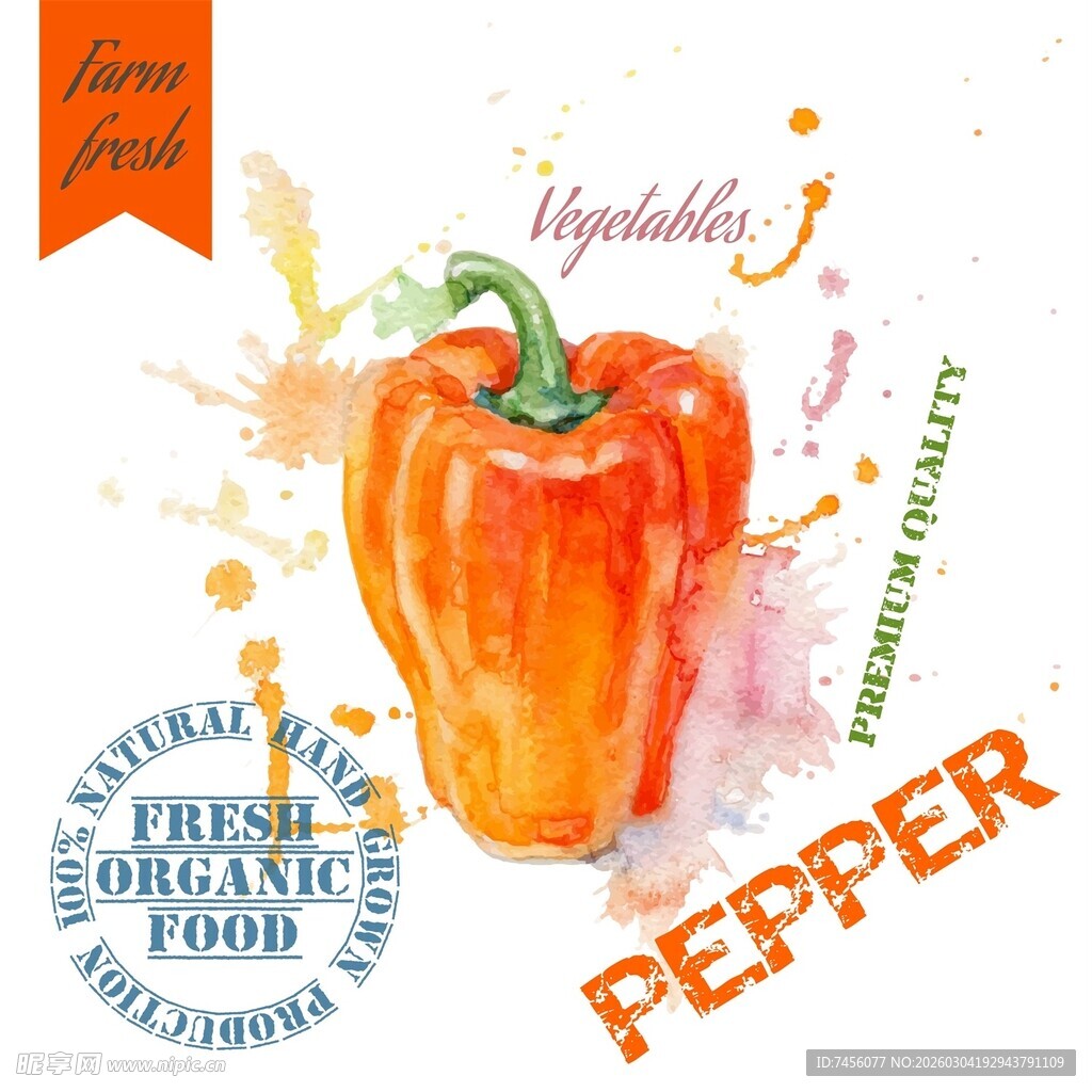水彩绘橙色甜椒插画