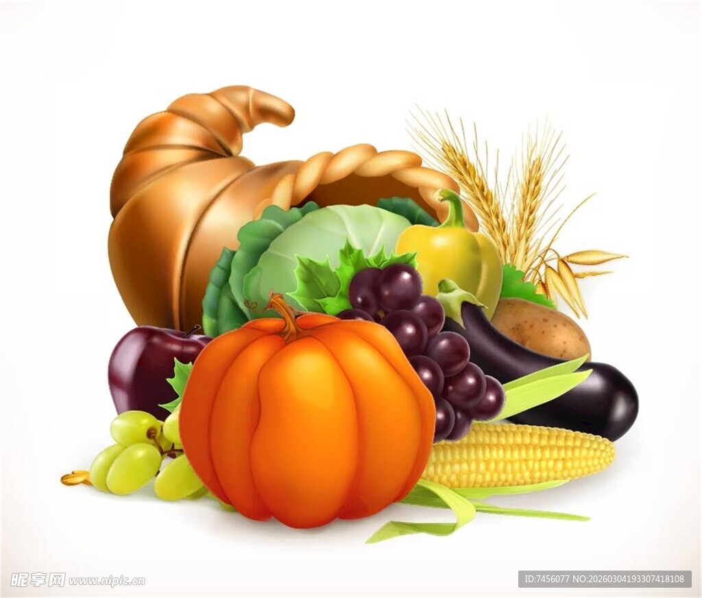 丰收聚宝盆中的多彩蔬果