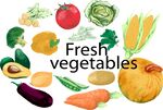 新鲜多样蔬菜集合