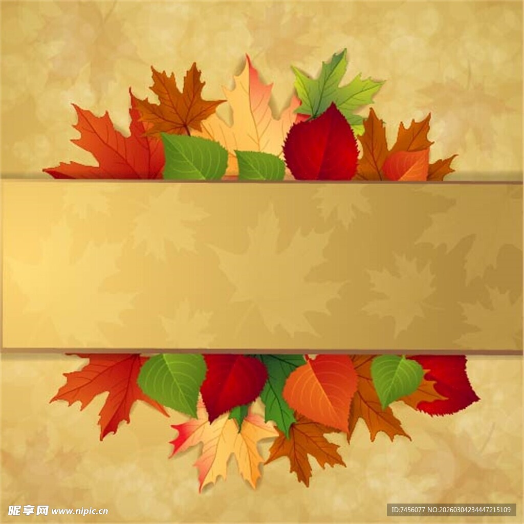 秋季枫叶装饰背景图