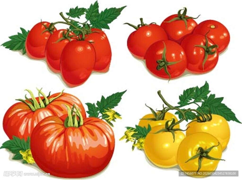 多彩番茄组合