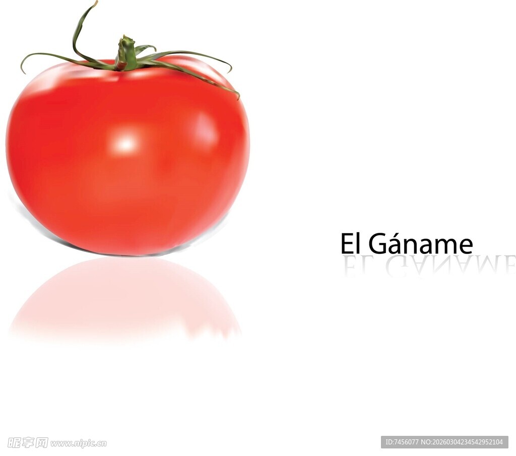 鲜红饱满的单个西红柿